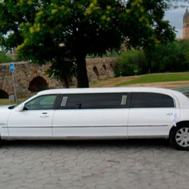 Alquiler de limusinas en Segovia